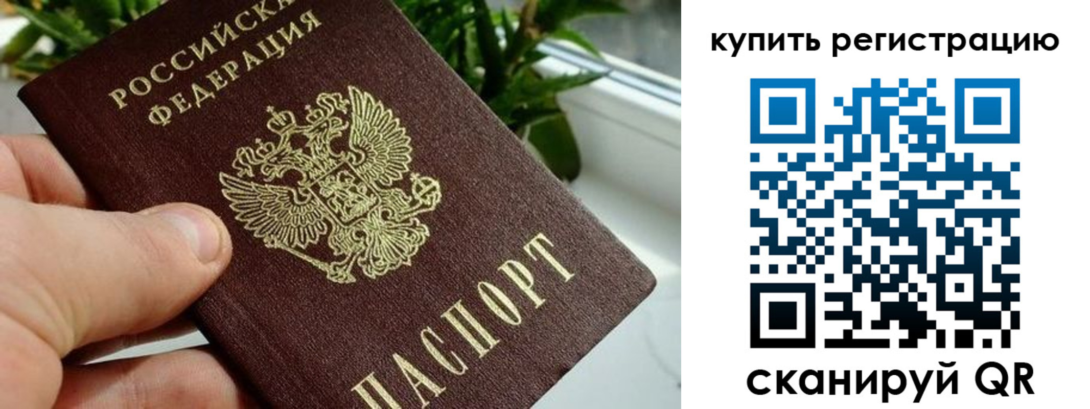 прописка гарантия в Энгельсе